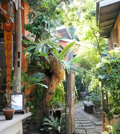 ทางเดินในสวนสีเขียวระหว่างบ้านพักสไตล์ล้านนาของบ้านน้อยนอนม่วน
